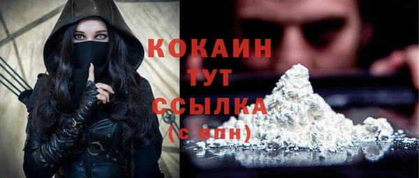 спиды Зеленокумск