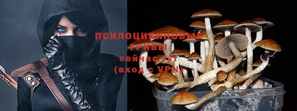 спиды Зеленокумск