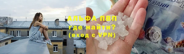 спиды Зеленокумск