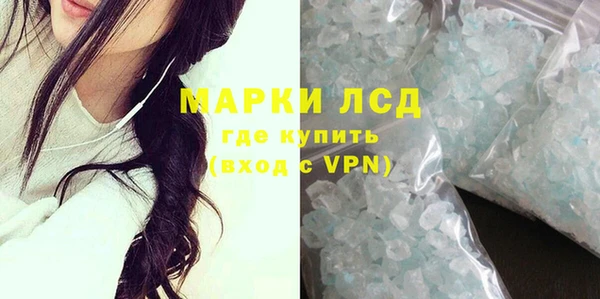 стафф Инта