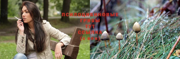 спиды Зеленокумск
