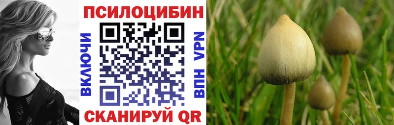 Купить  Иннополис  Галлюциногенные грибы Psilocybe 